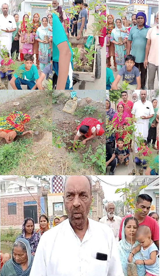 Under the 'Save Environment Campaign', fruit and shade trees were planted in Pind Sadhowal